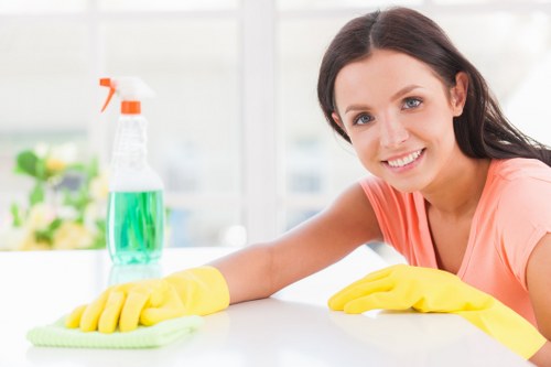 Professional cleaning company in Crystal Palace serving local homes and businesses