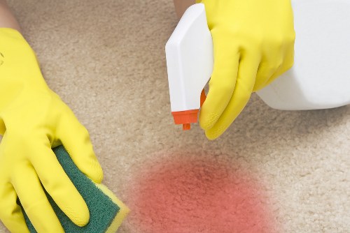 Professional cleaner preparing a spotless interior space