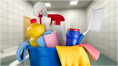Professional carpet cleaning in a Crystal Palace living room