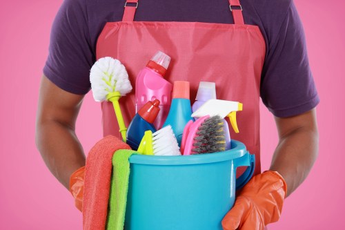 Secure Crystalpalace Cleaner payment methods on a protected checkout page