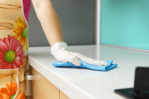 Cleaner in Crystalpalace performing detailed room cleaning tasks