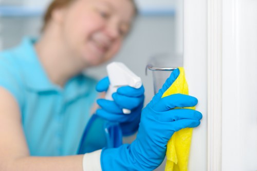 Professional carpets cleaner in Crystal Palace deep cleaning a living room carpet