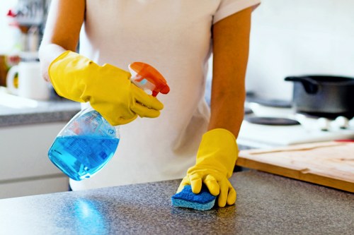Deep steam cleaning of a sofa in Crystalpalace