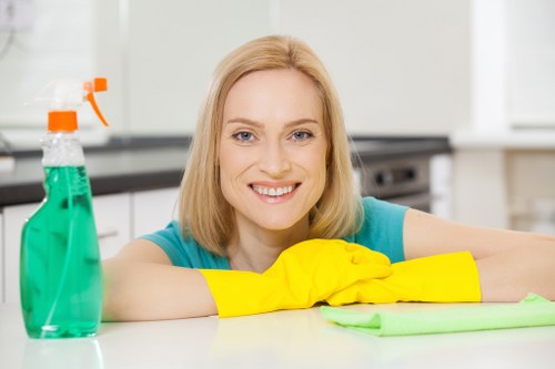 Professional domestic cleaning in a Crystalpalace living room