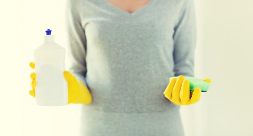 Accessible website support message for Crystal Palace cleaner users