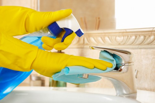 Professional upholstery cleaning in a Crystalpalace living room