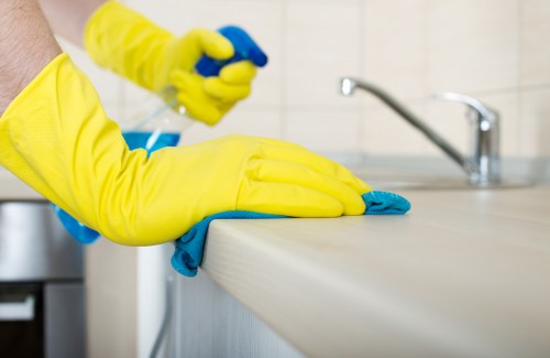 Eco-friendly cleaning company in Crystal Palace for modern properties