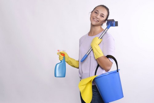 Expert carpet cleaner treating carpet fibres and restoring freshness