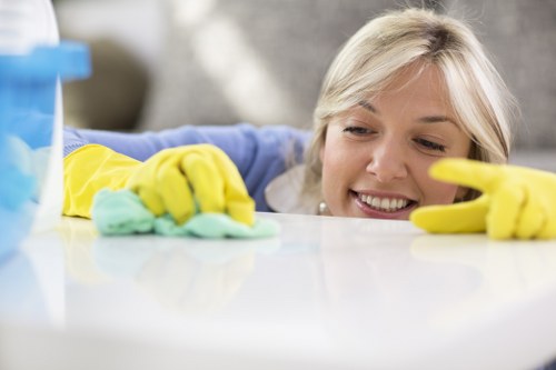 Professional Crystal Palace cleaner working in a clean home interior
