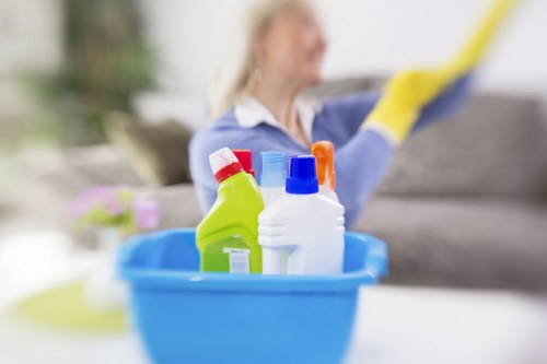 Reliable cleaners in Crystal Palace providing detailed property care