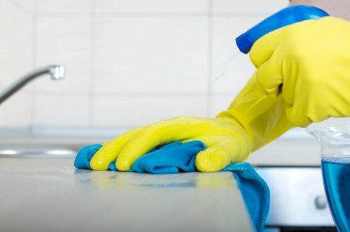 Carpet cleaning equipment used by a carpets cleaner in Crystal Palace