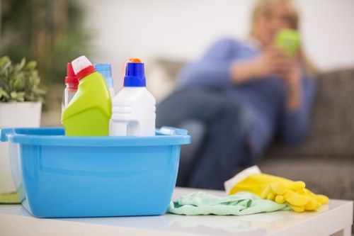 Crystalpalace property deep cleaning focusing on hidden dirt and detail