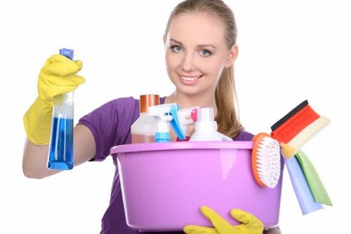 Trustworthy Crystalpalace Cleaner checkout security with protected transactions