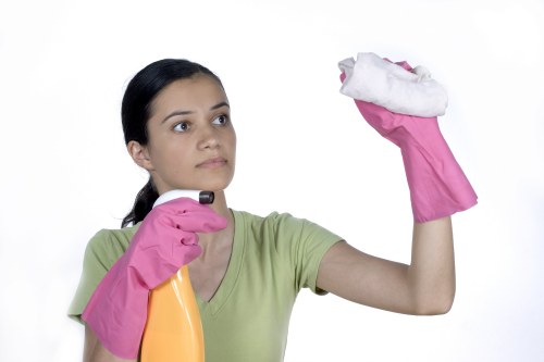 Kitchen deep cleaning during Crystal Palace end of tenancy cleaning