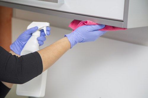 Detail-oriented cleaning service in a bright room