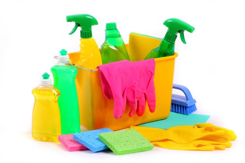 Crystal Palace cleaning expert performing detailed surface cleaning